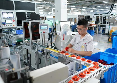 河北秦皇島 擘畫藍(lán)圖，打造電子信息和智慧消防產(chǎn)業(yè)新高地